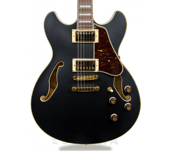 Ibanez AS73GBKF Ibanez AS73GBKF